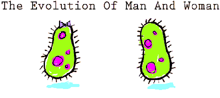 Evo of Man and Woman
