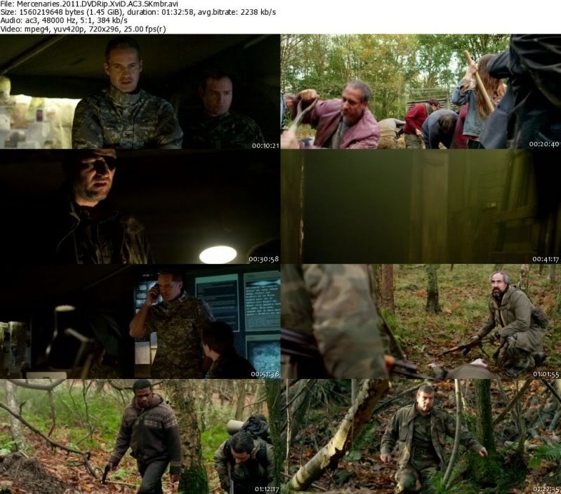 Mercenaries (2011)