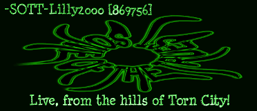 torncity-1.gif