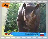 WorldMadeChannel_Animals.mp4 video by WorldMadeChannel