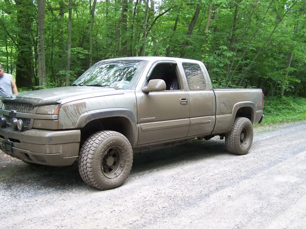 frogfest002.jpg