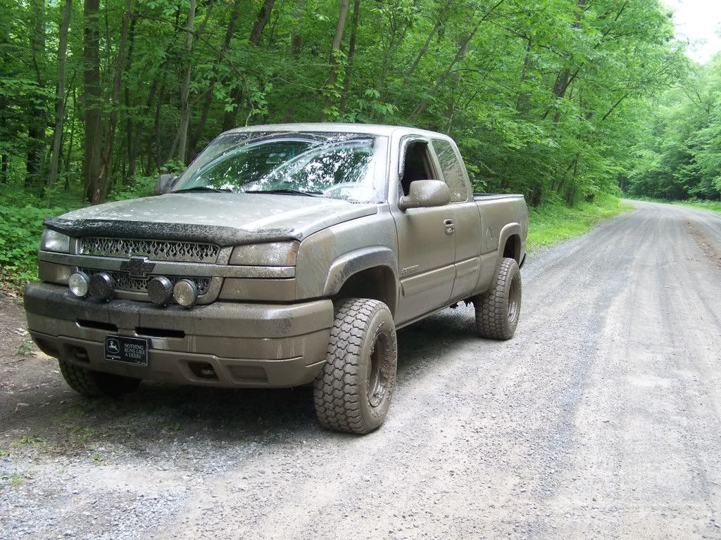 frogfest003.jpg