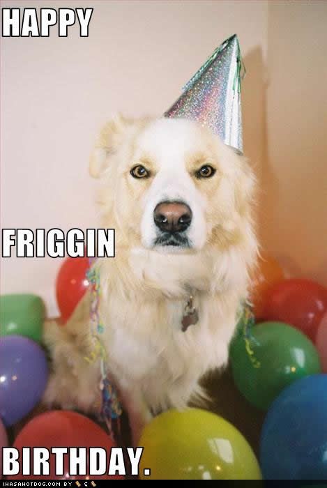 happy birthday funny dog. Welbog#39;s Birthday Thread!