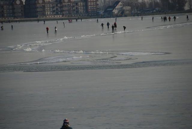 DSC_0028.jpg