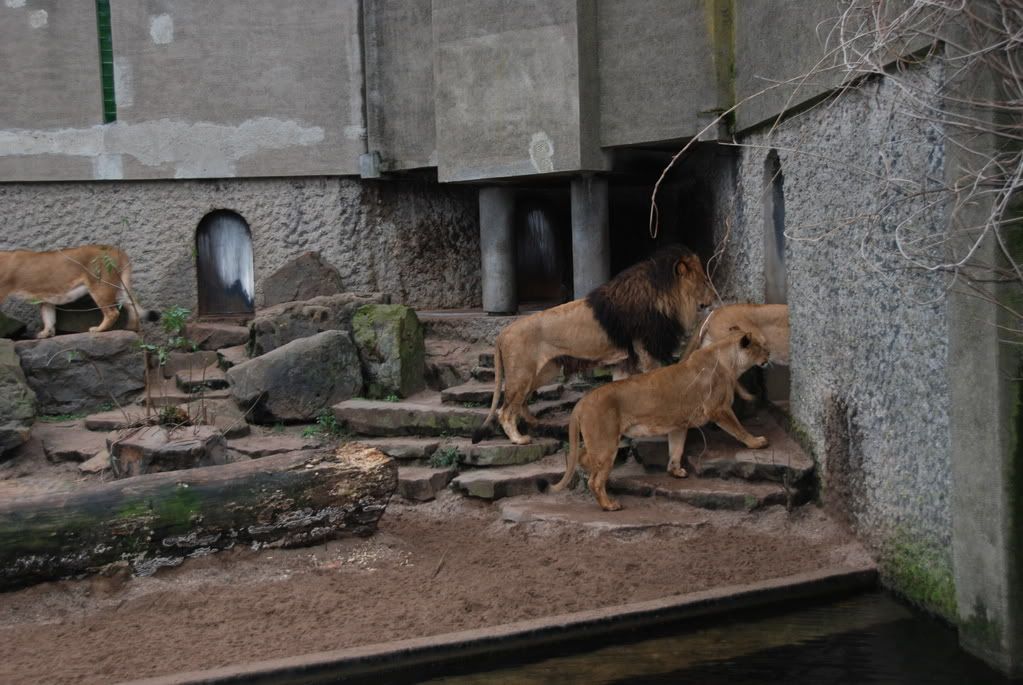 DSC_0123.jpg