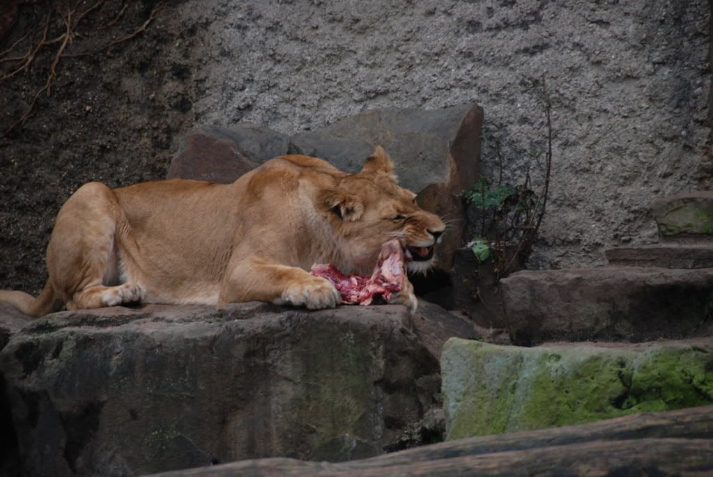 DSC_0135.jpg