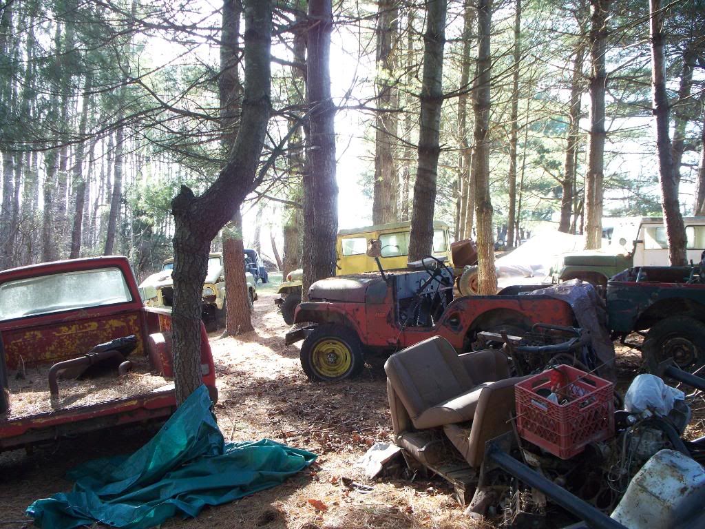 The Jeep Graveyard