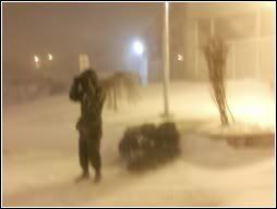 [Image: winter01.jpg]