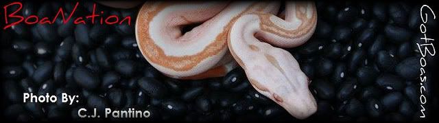 4867403240_820f0327ab_z.jpg