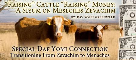 Feature Audio: "Raising" Cattle, "Raising" Money: A Siyum on Meseches Zevachim