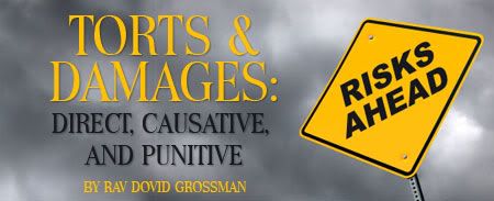 Torts & Damages: Direct, Causative, & Punitive