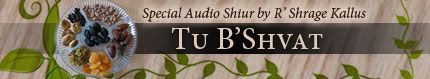 Special Tu B'Shvat Audio Shiur by Rav Shrage Kallus