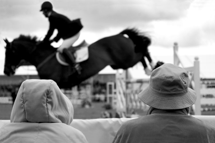 horse-jumping_zps4365e9d5.jpg