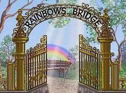 rainbow_bridge1.jpg