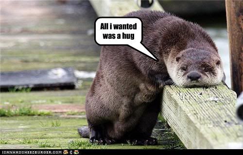 funny-pictures-otter-wanted-hug.jpg