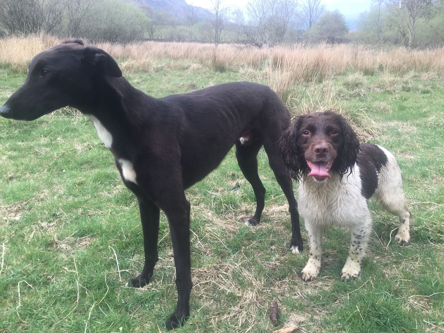 1D4F3D8B-E663-46F6-A0D9-4AE39B497F3B_zps