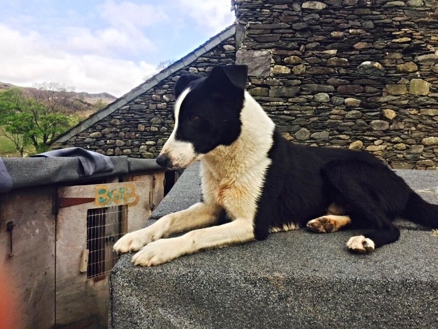 34600752-BDF3-4777-BAE3-2D05EE75E96B_zps