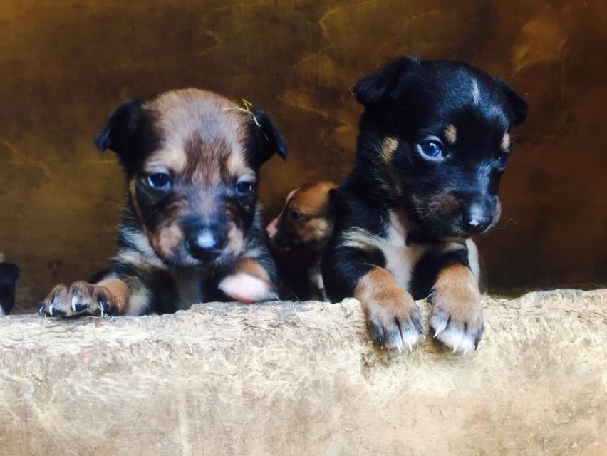 57AE12BE-7E53-4968-BAA1-B24BDEED9838_zps