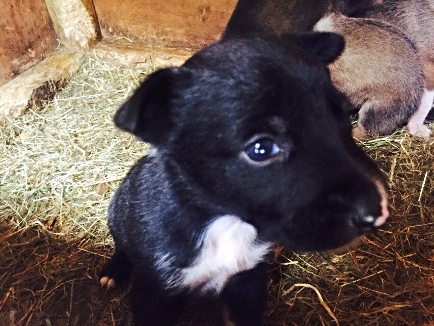 6A13FC55-AD07-4A5B-8220-D18217C98089_zps