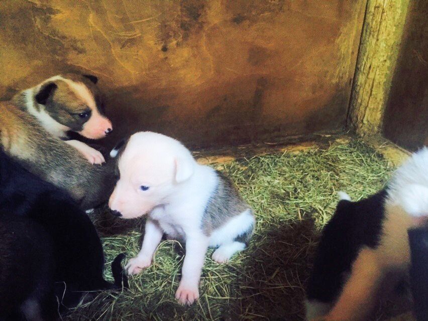 9FCABCCE-9C86-48CC-ACC5-EAD8C9B13057_zps