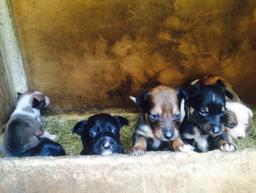 BD71DBE4-12A1-480C-A9AC-06E61E998556_zps