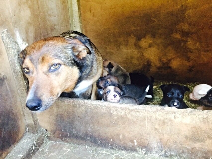 DE8681FF-69F1-4D7C-AB75-F2EA6B506C93_zps