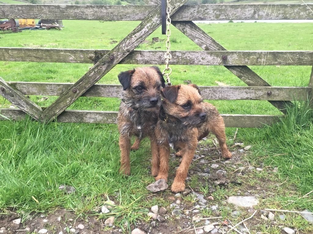 2E40FF81-B3FD-4BCA-BAA5-CE6285D74C4C_zps