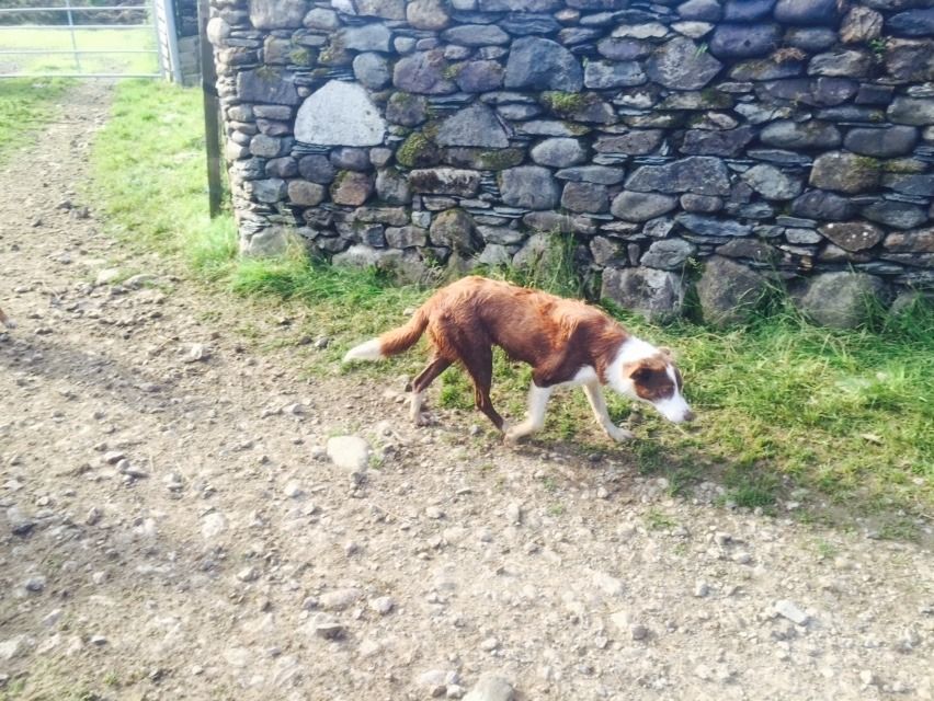 F7504986-F8E6-4274-9287-85A7A5B98154_zps