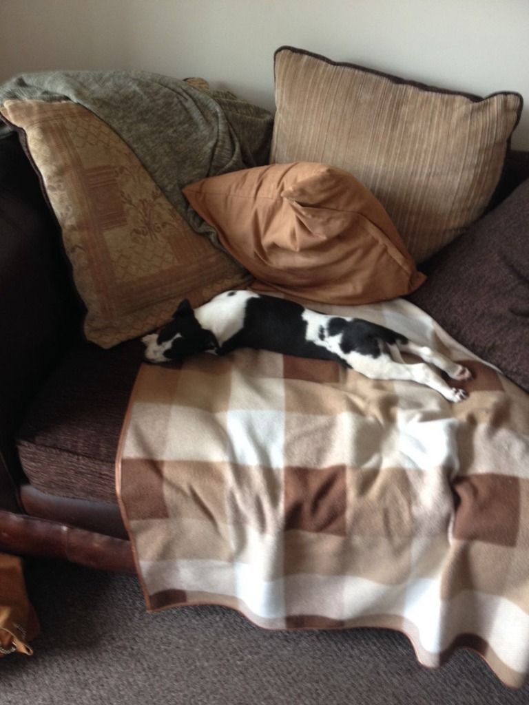 3972D72B-29A7-43FF-B015-C2E74BDAE2A1_zps