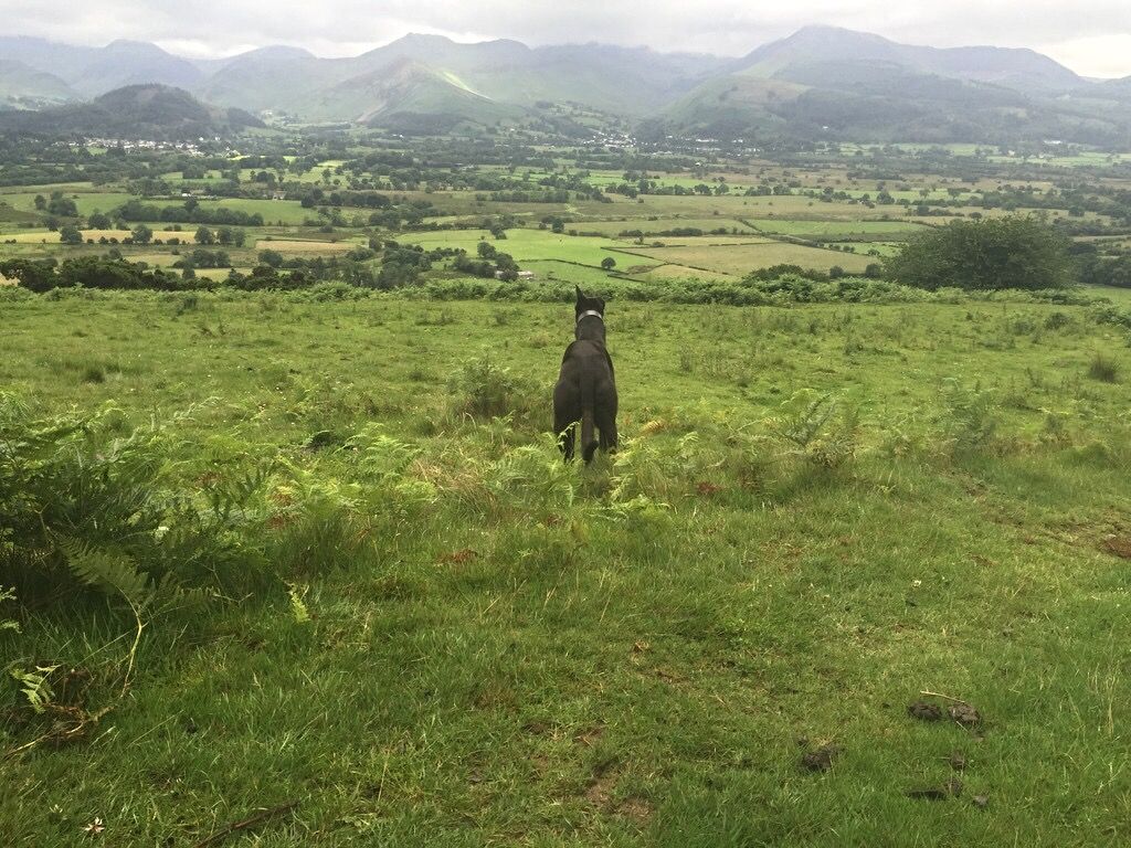 368870B5-CCB2-49B8-8340-678906586F34_zps