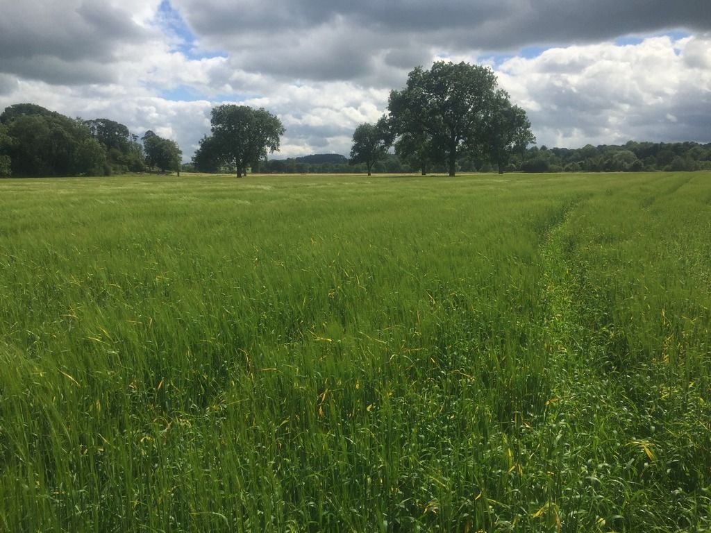 69A60872-577D-4AA3-BD73-61D5B555673F_zps