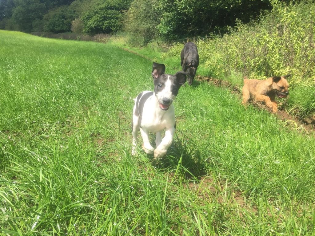 A7063179-F5B7-480E-A5C4-284CA9D5F0FF_zps