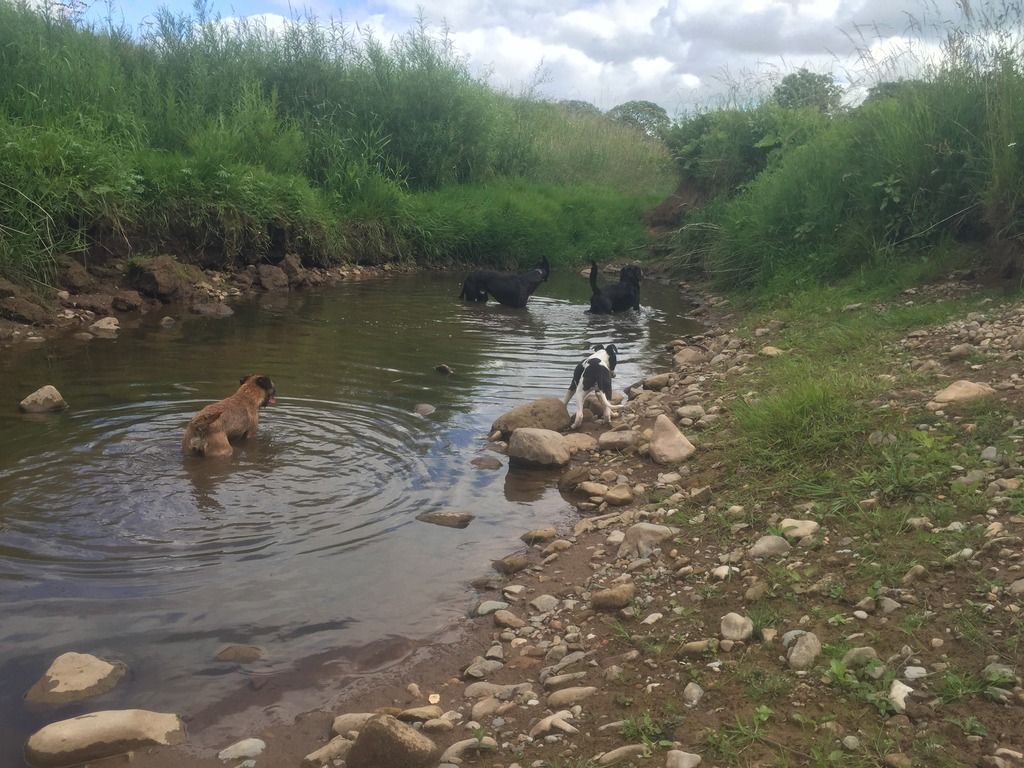 C92DF776-7801-4125-9B53-86439C5292CE_zps