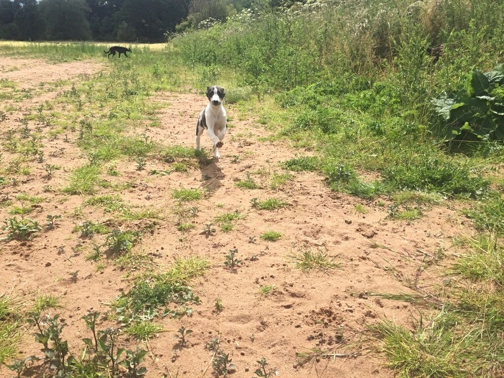 D1BA75BF-5E4B-48FE-A73D-D7FD0F9709C5_zps