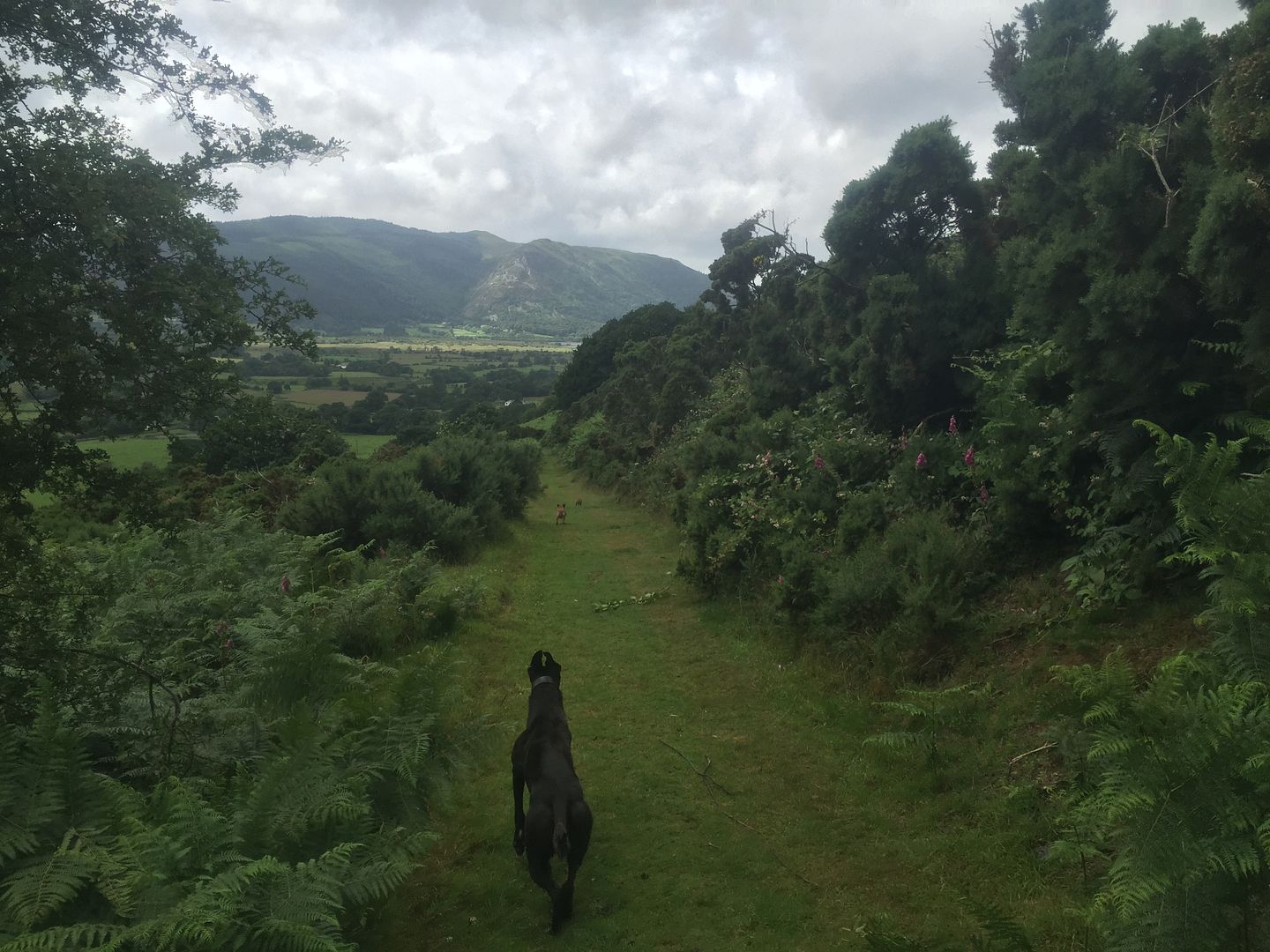 D5CC3ADE-CCDB-48AB-B29A-066F142F5B09_zps