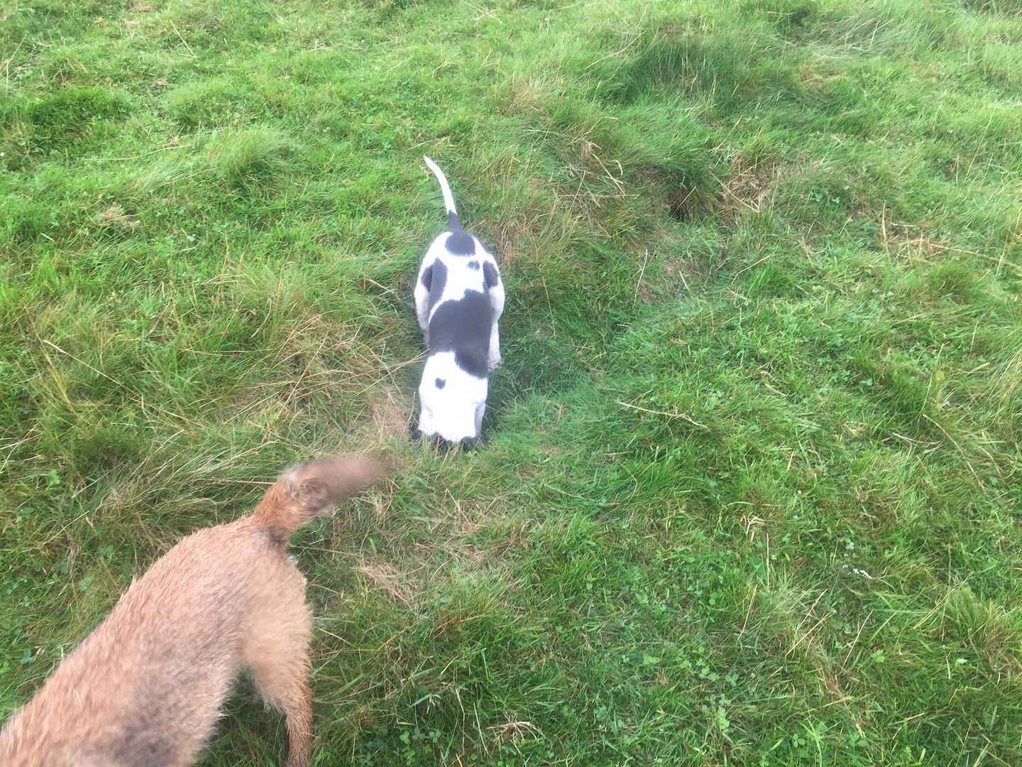 F4C080C2-1EAD-4FAC-BCDC-E2F176D0B298_zps