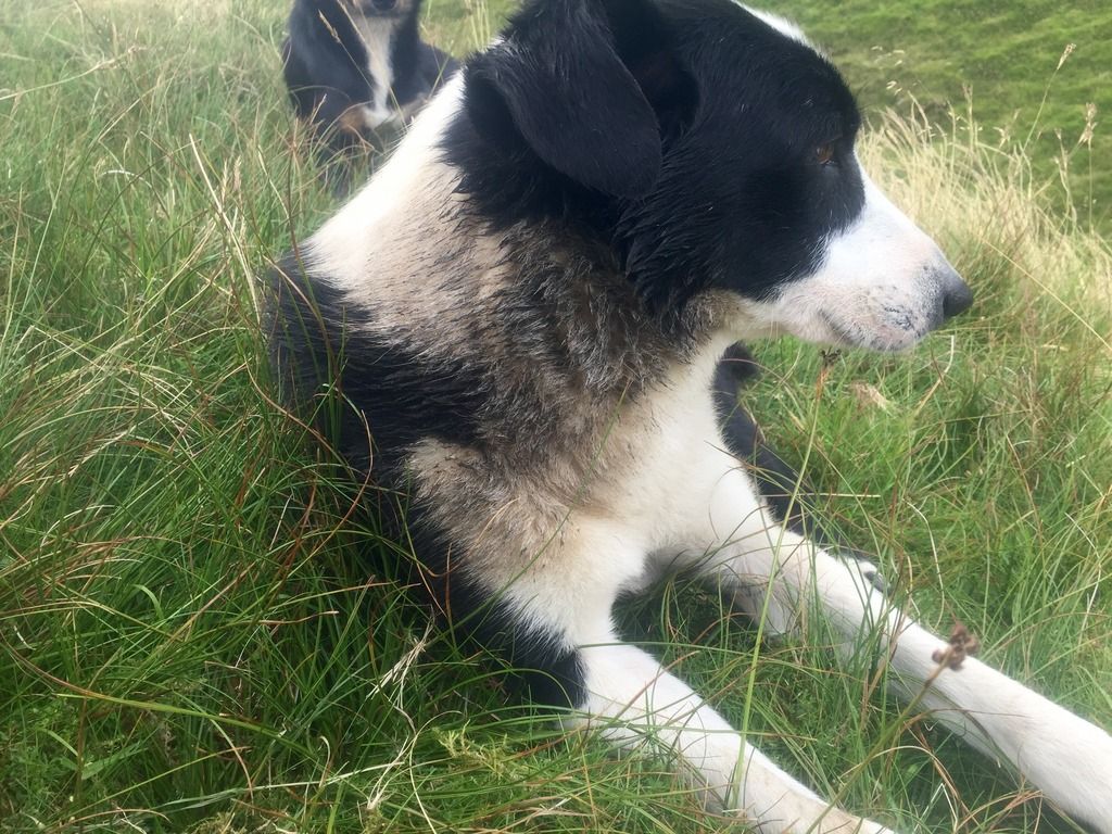 21965BD9-5168-4EFD-9253-B539F1298EE2_zps