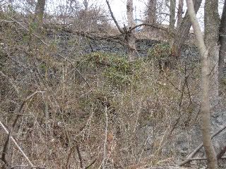 Woods and stone along the trail