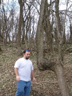 We came upon this tree off the trail. It looked like a good seat so I wanted to get up and try it out.