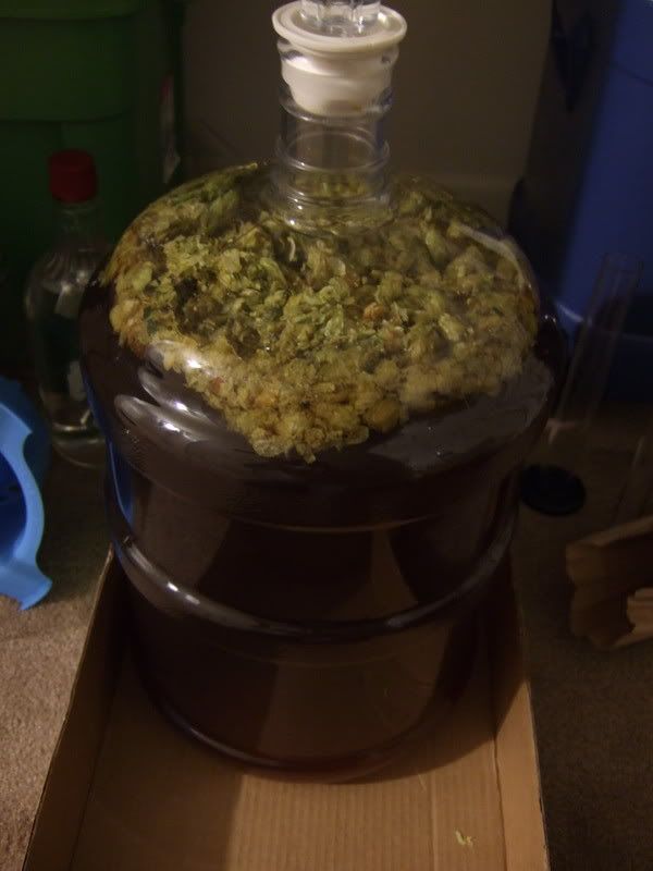 Dogfish+head+90+minute+ipa+clone+extract