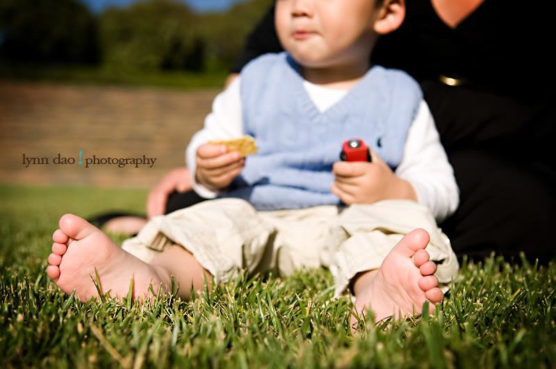 child portrait,child photography phoenix,child photography arizona