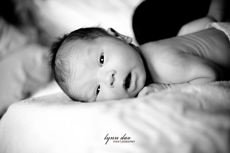 baby photography Arizona