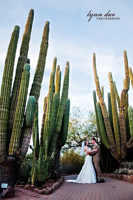 phoenix wedding photographer,Wedding photography phoenix,desert botanical garden