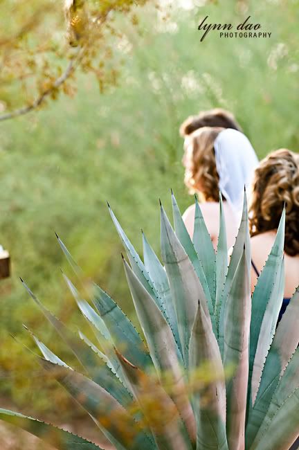 Wedding photography phoenix,phoenix wedding photographer,desert botanical garden