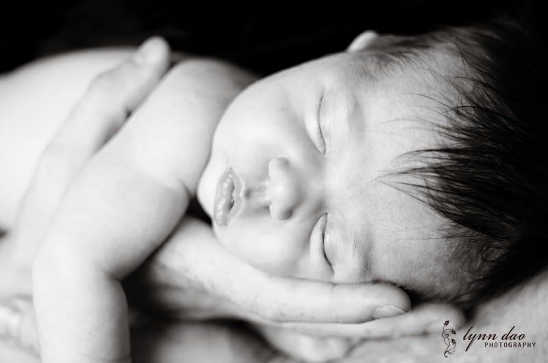 Baby photographer,Arizona baby photographer,Arizona newborn photographer,Phoenix baby photographer,phoenix newborn photographer,baby photography,baby photography Arizona,baby photography Phoenix