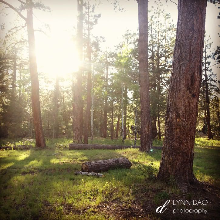 Aspen Campground, AZ