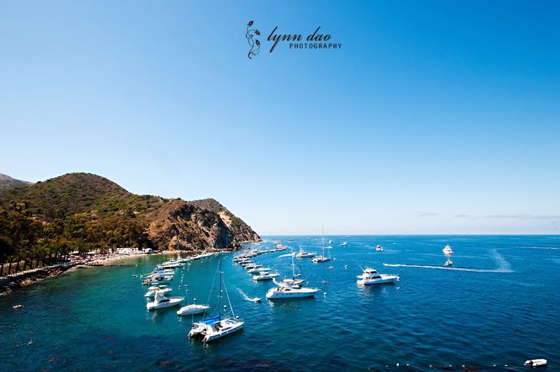 catalina island