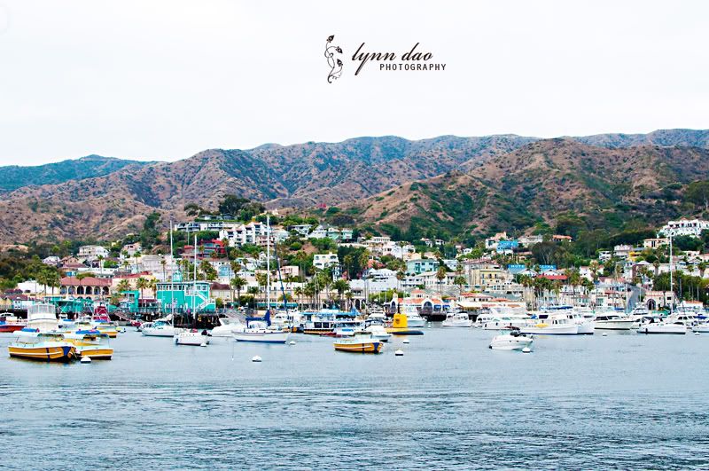 Catalina Island