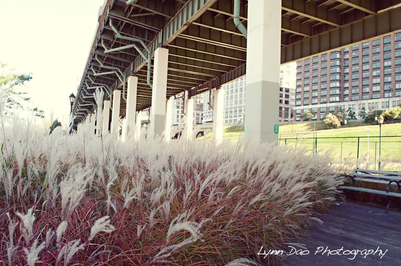 new york,hudson river,new york city