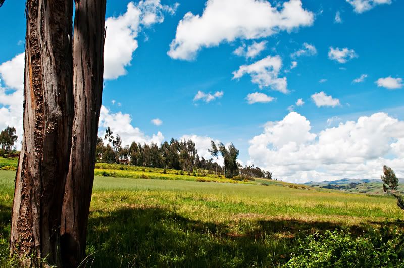 Peru,Cusco,Sacred Valley,Lares Valley,Chinchero